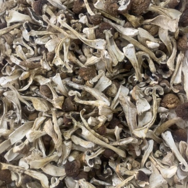 赤松茸干菇片
