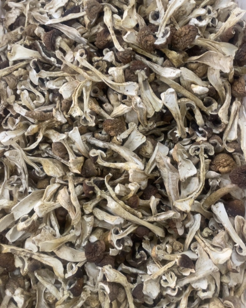赤松茸干菇片