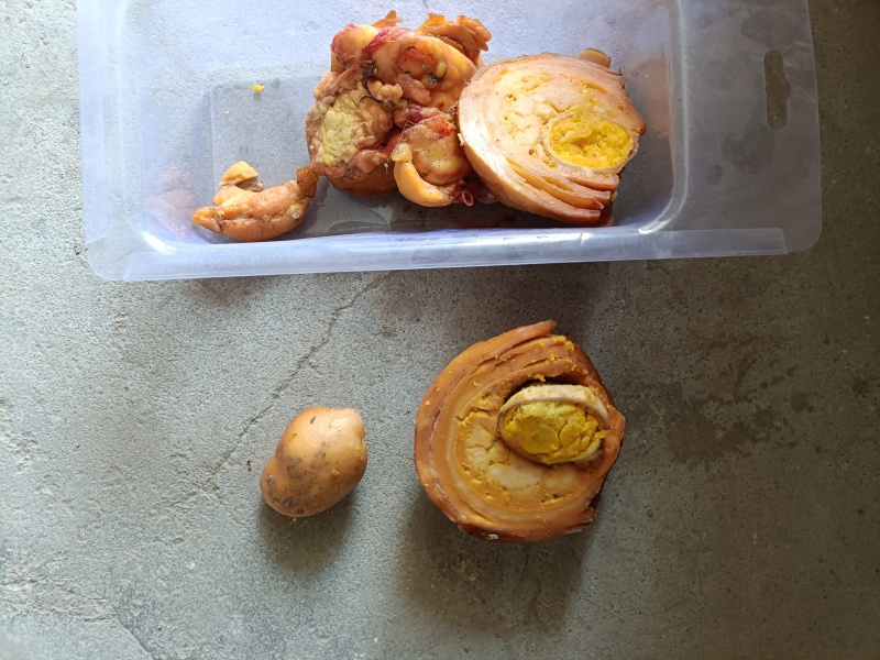 鸡宝