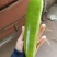 西葫芦《祥佳蔬菜专业合作社》产地寿光，一手货源，新鲜采摘