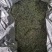 恩施富硒茶叶