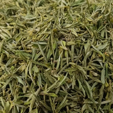 霍山黄芽，