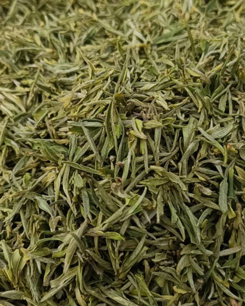 霍山黄芽，