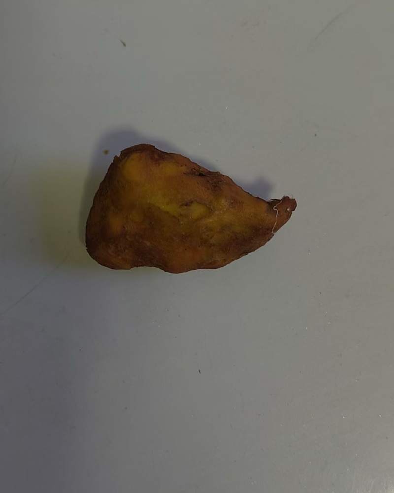 自己家养的鸡出的鸡宝，仅这一个，需要的联