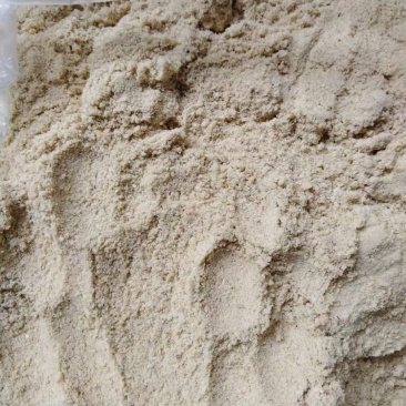 广州大量现货越南油糠，蛋白15.8，脂肪16.4