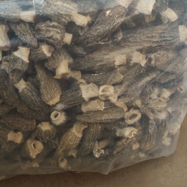 羊肚菌干货