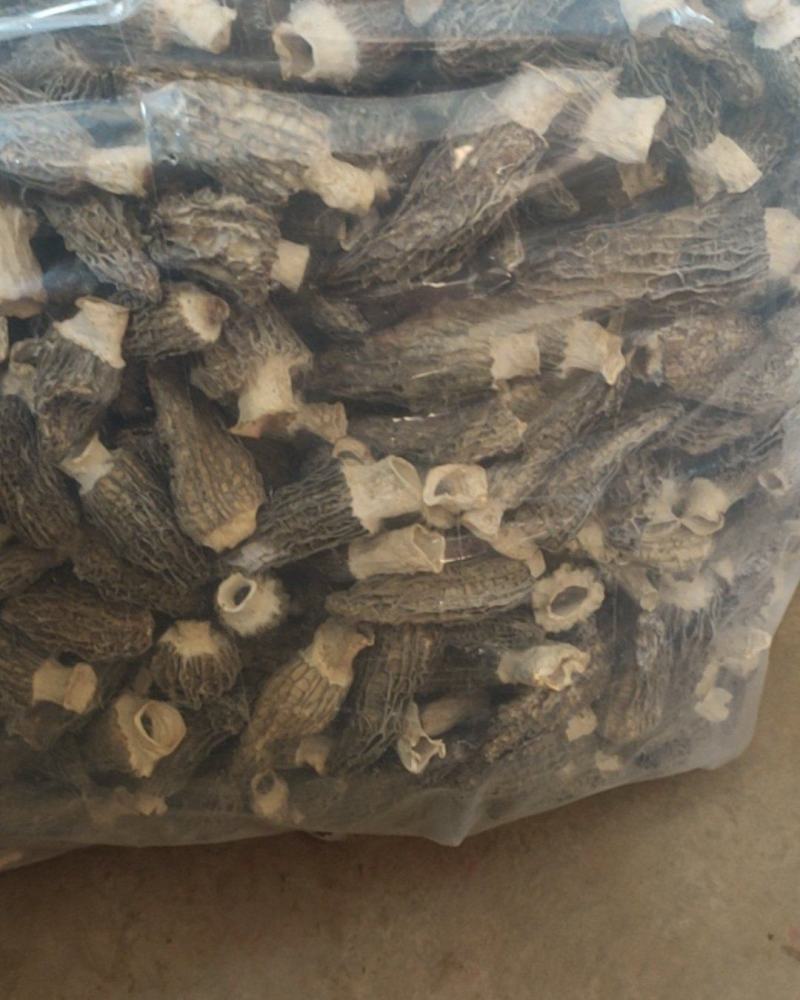 羊肚菌干货