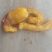 鸡宝