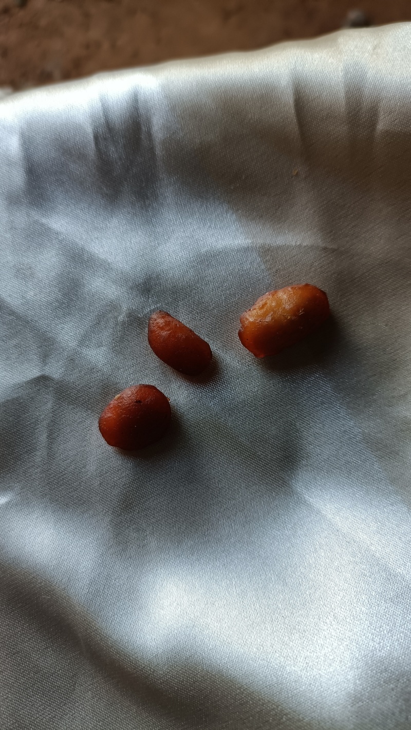 鸡宝，鸡结石50克
