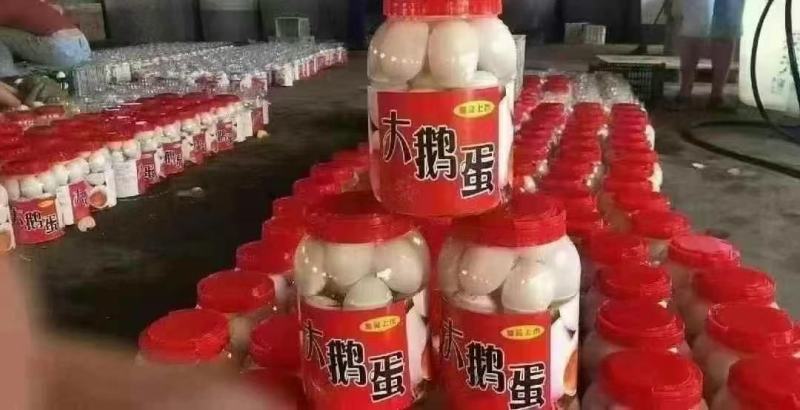 大桶蛋