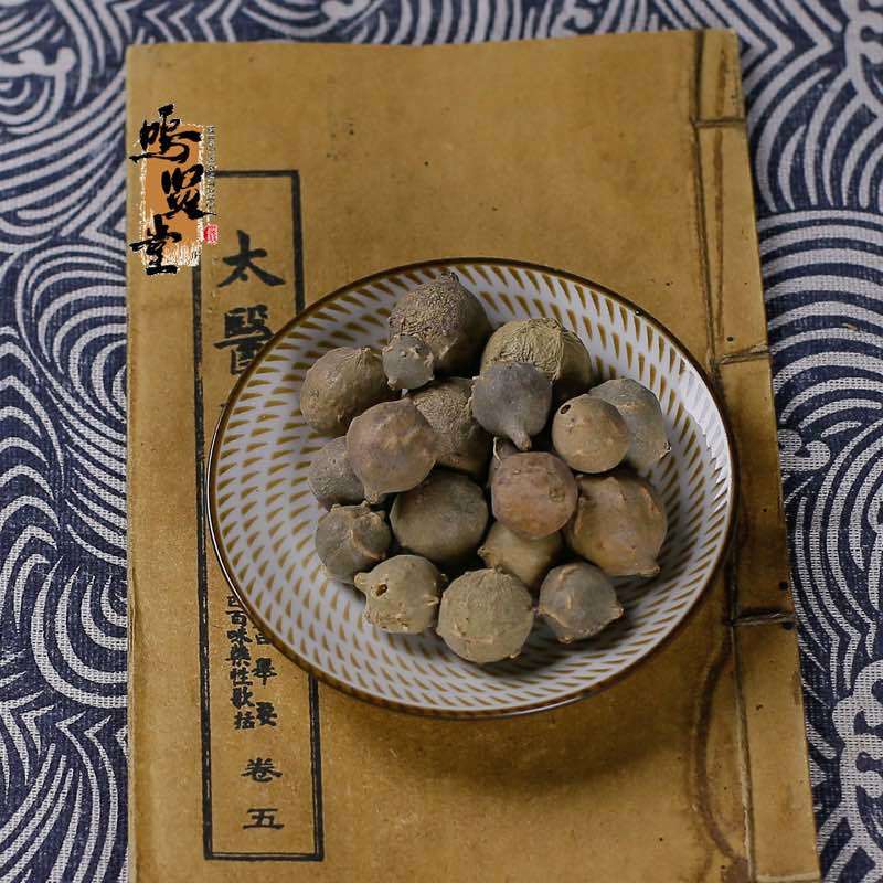 纯新货没食子中药材没石子墨石子无食子无石子