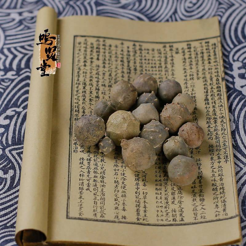 纯新货没食子中药材没石子墨石子无食子无石子