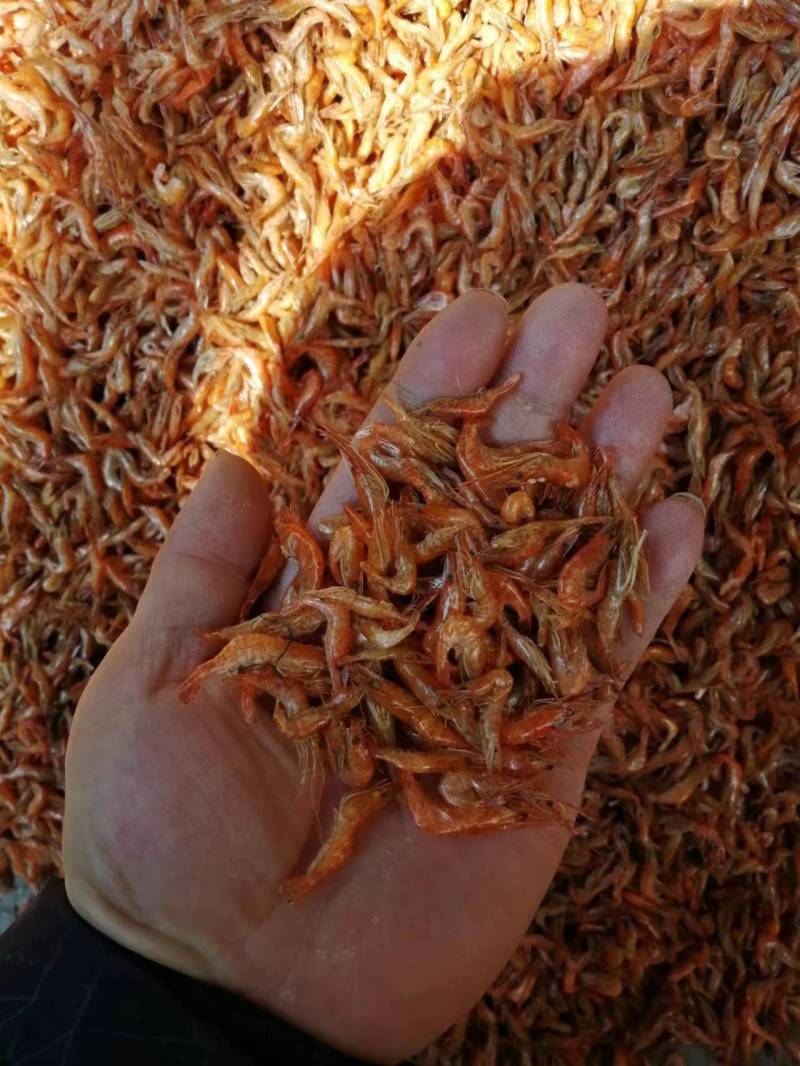 河虾干新鲜货