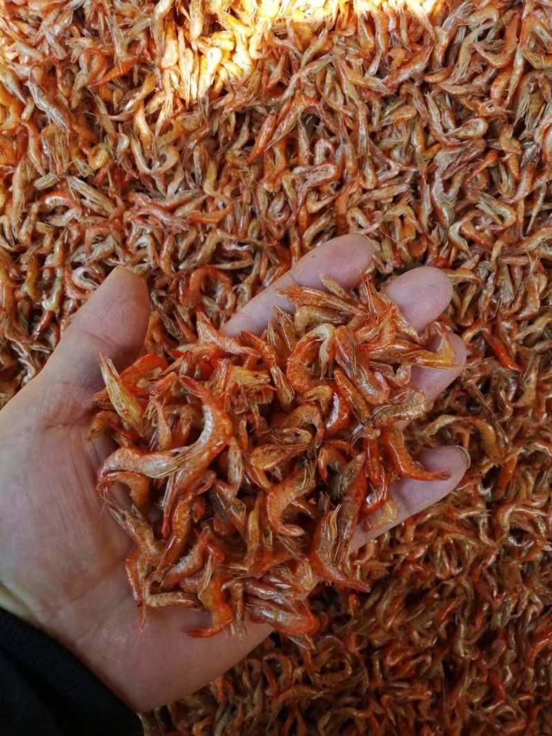 河虾干新鲜货