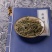 中药材凤尾草野生新鲜干包邮凤尾七鸡爪草阉鸡尾金鸡尾