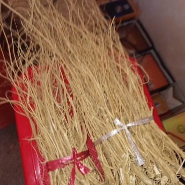 石生根，别名虎尾轮