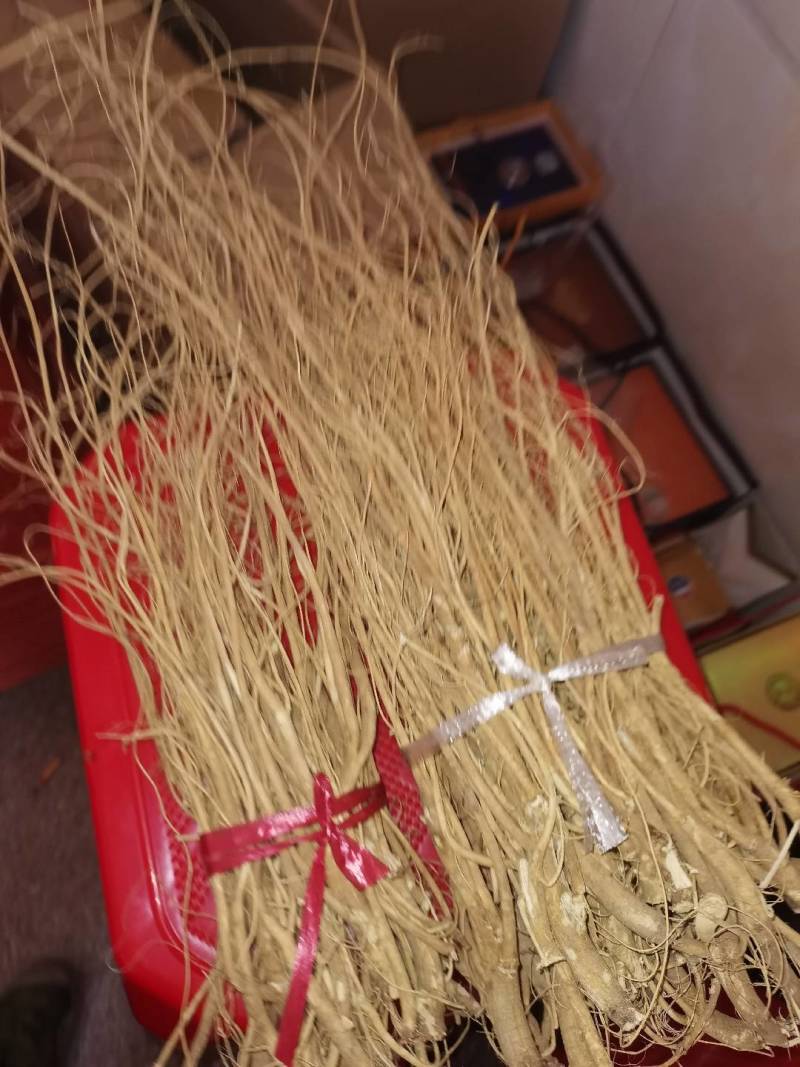 石生根，别名虎尾轮