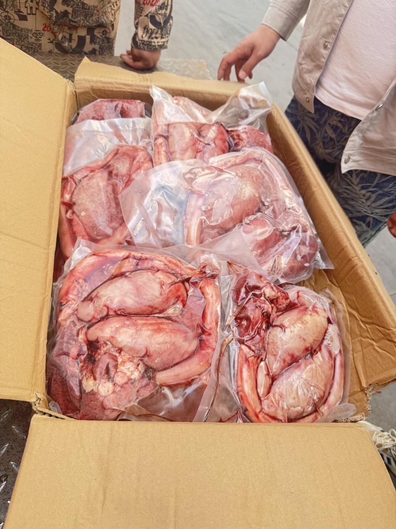 牛鞭宝（真空独立包装，带一点鞭根肉）