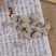 精选石燕中医药材饮片特级正品燕石子细选新货正宗燕子石水飞石