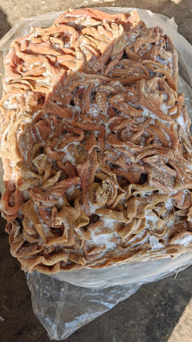 育肥牛小肠（精修无油，无杂志，破开）
