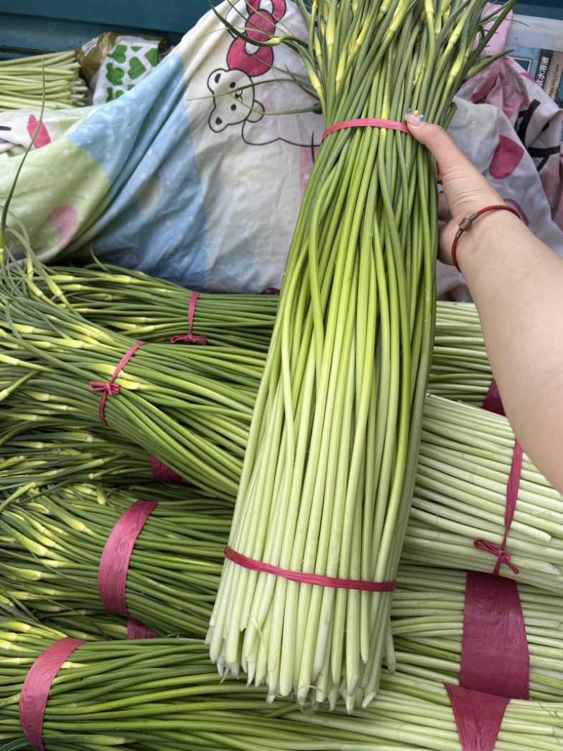精品白帽蒜薹