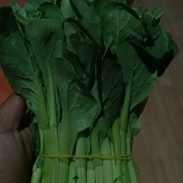 白菜苔
