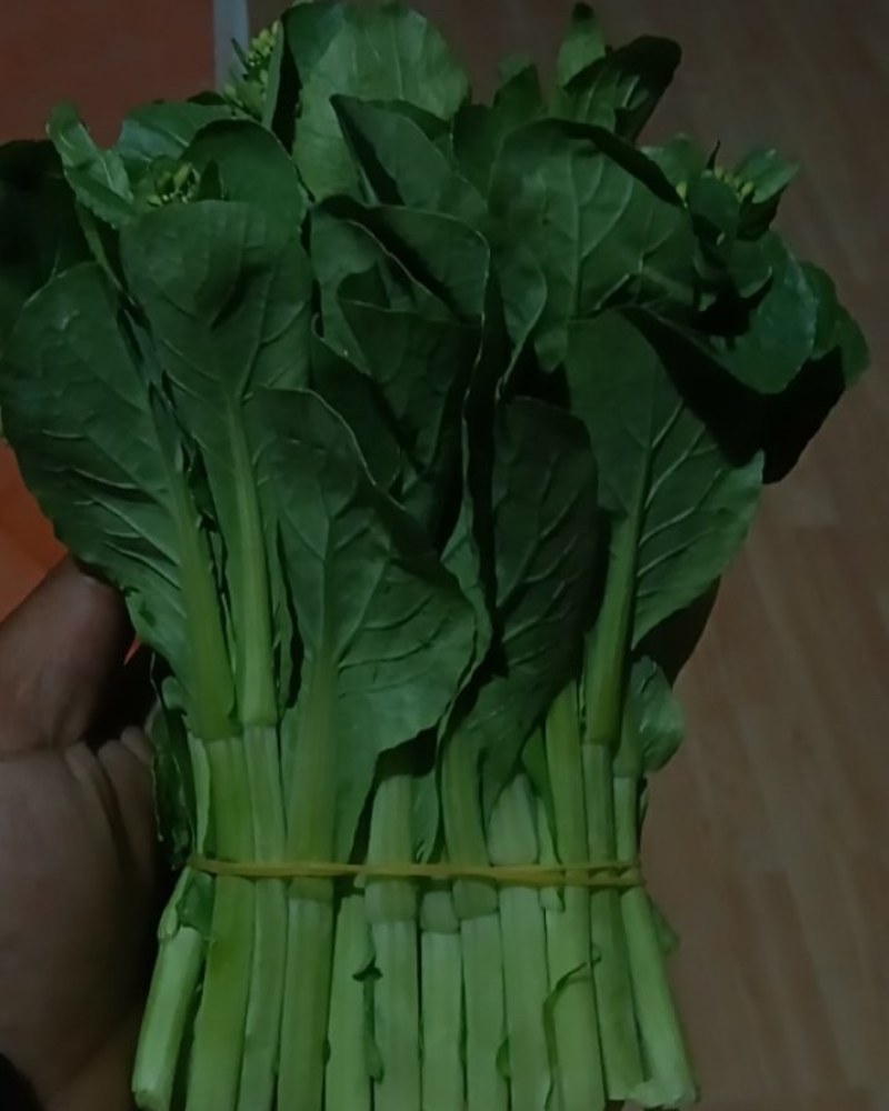 白菜苔