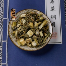青蒿中药材苦蒿臭蒿草蒿臭蒿野兰蒿桐臭蒿