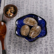 野生紫贝齿中药材紫贝文贝紫贝子南蛇牙齿
