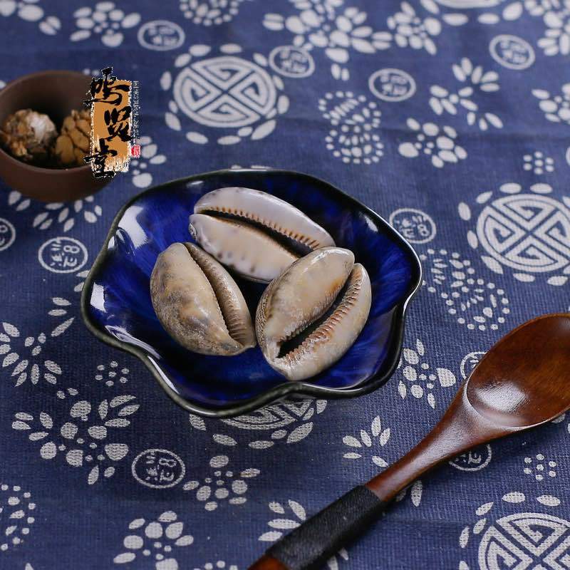 野生紫贝齿中药材紫贝文贝紫贝子南蛇牙齿