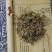 老鹳草正品野生中药材老鹳草