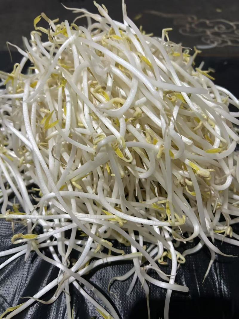 黄绿豆芽菜
