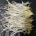 黄绿豆芽菜