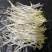 黄绿豆芽菜
