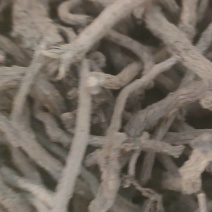 板蓝根通货
