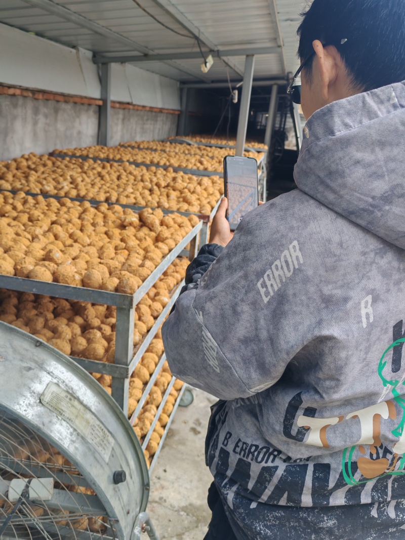 四川南充市西充县小憨蛋食品厂源头松花鸭皮蛋厂家批发