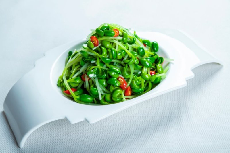 土培黄豆苗