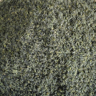 高山绿茶