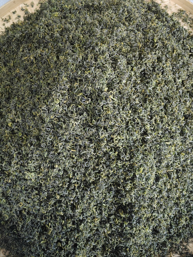 高山绿茶