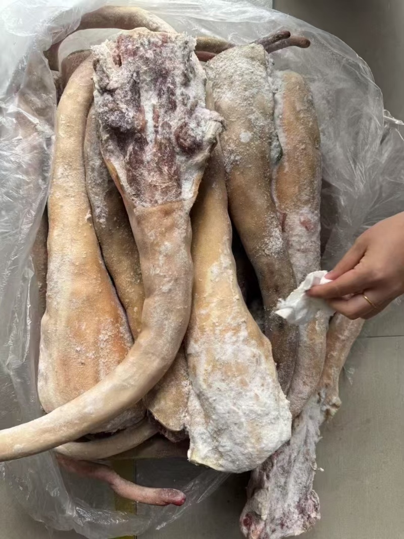 火烧带皮牛尾