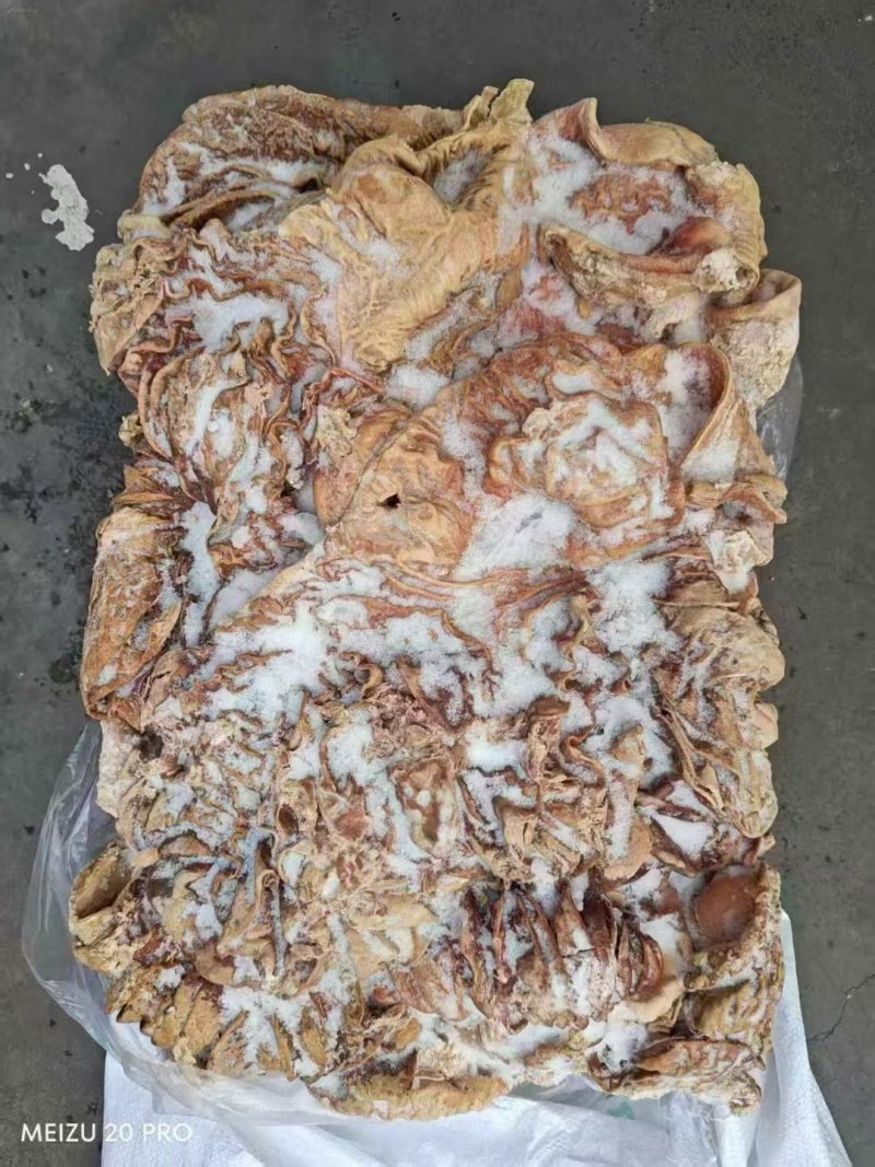 牛散带