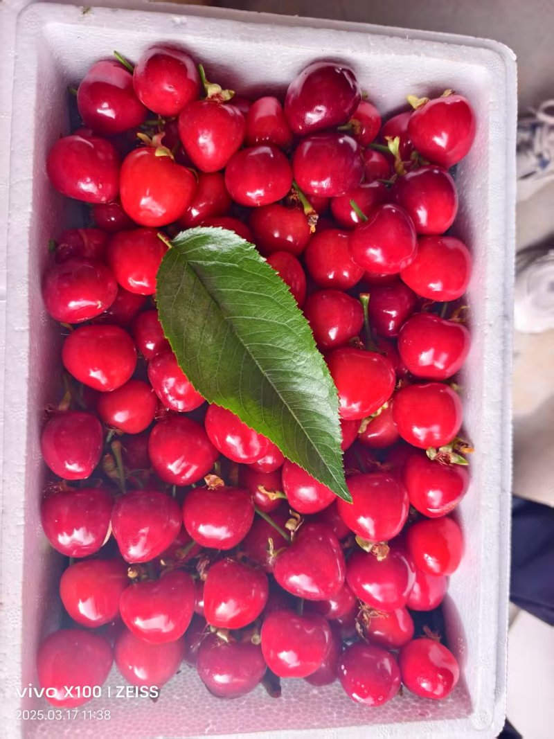新疆樱桃🍒