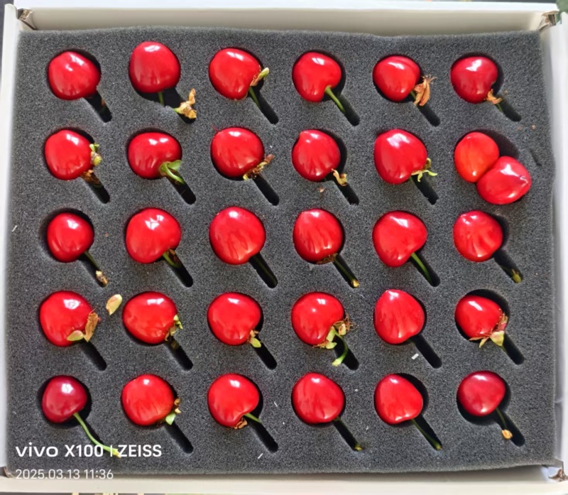 新疆樱桃🍒