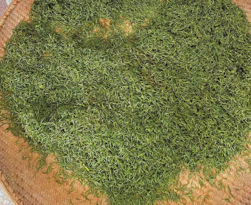 高山云雾绿茶