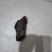 甘肃猪苓