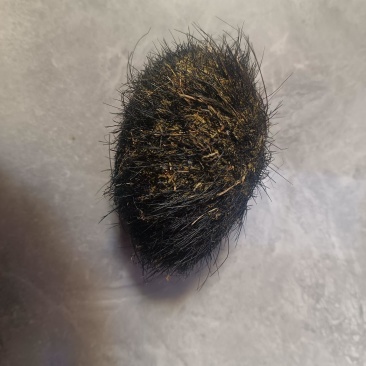 猪宝