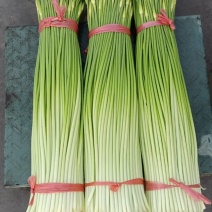 沛县蒜苔