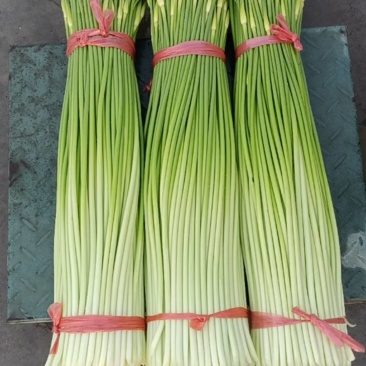 沛县蒜苔