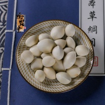 白果中药材白果白果银杏果白果个