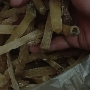 瑶柱沙虫干货